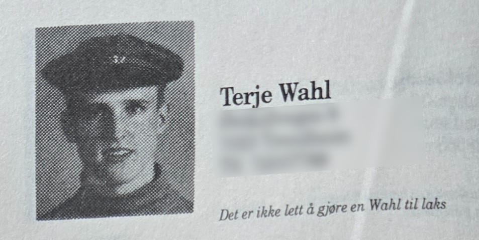 Terje Wahl